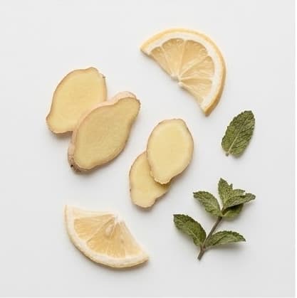 Gut Health